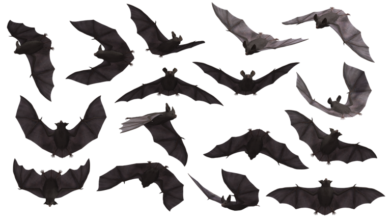 costume de vrajitoare pentru halloween